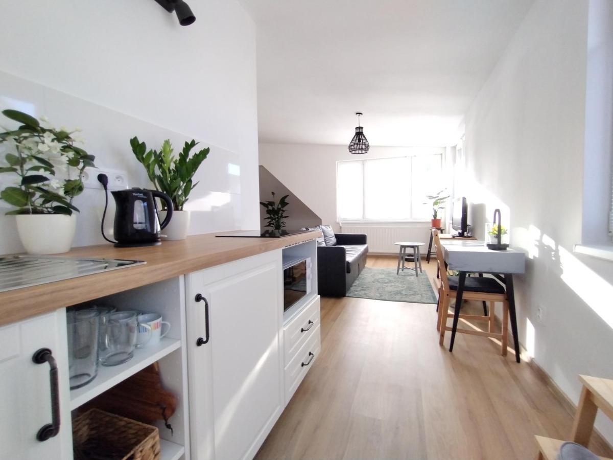 Attic Apartment Catnip Bratysława Zewnętrze zdjęcie